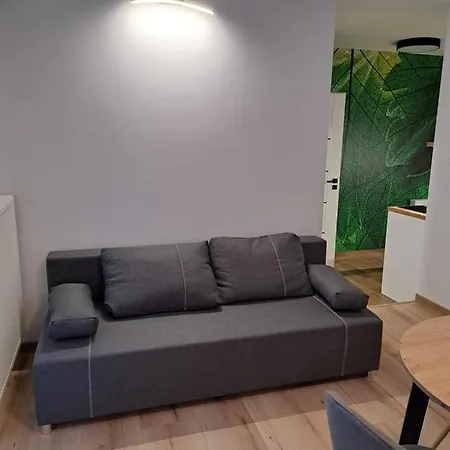 Apartamenty Zielony Lisc Ciechocinek Esterno foto