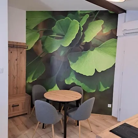 Apartamenty Zielony Lisc Ciechocinek Esterno foto
