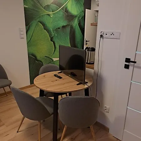 Apartamenty Zielony Lisc Ciechocinek Esterno foto