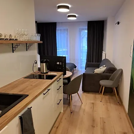 Apartamenty Zielony Lisc Ciechocinek Esterno foto