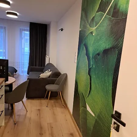 Apartamenty Zielony Lisc Ciechocinek Esterno foto