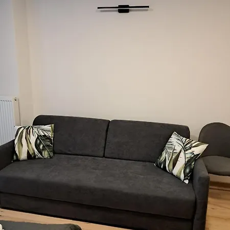Apartamenty Zielony Lisc Ciechocinek Esterno foto