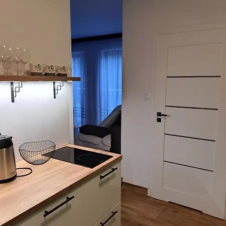 Apartamenty Zielony Lisc Ciechocinek Esterno foto