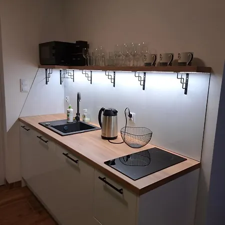 Apartamenty Zielony Lisc Ciechocinek Esterno foto