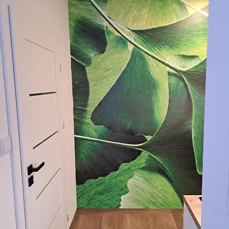 Apartamenty Zielony Lisc Ciechocinek Esterno foto
