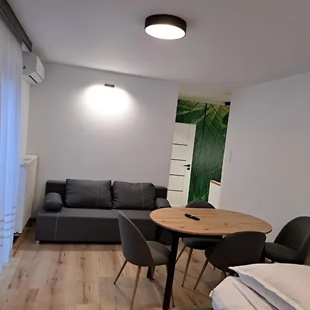 Apartamenty Zielony Lisc Ciechocinek Esterno foto