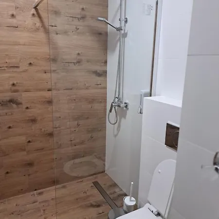 Apartamenty Zielony Lisc Ciechocinek Esterno foto