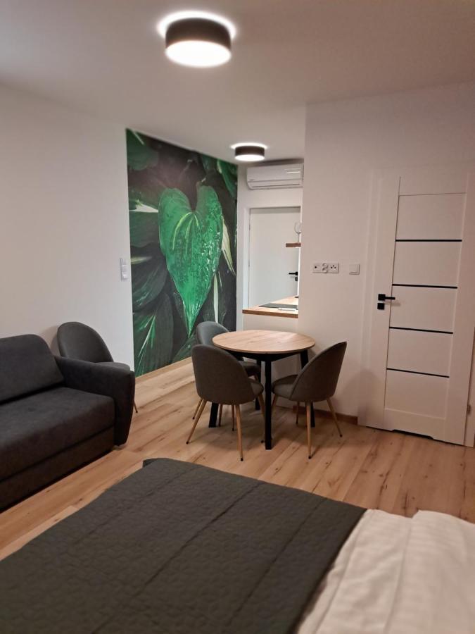 Lisc Apartment Ciechocinek