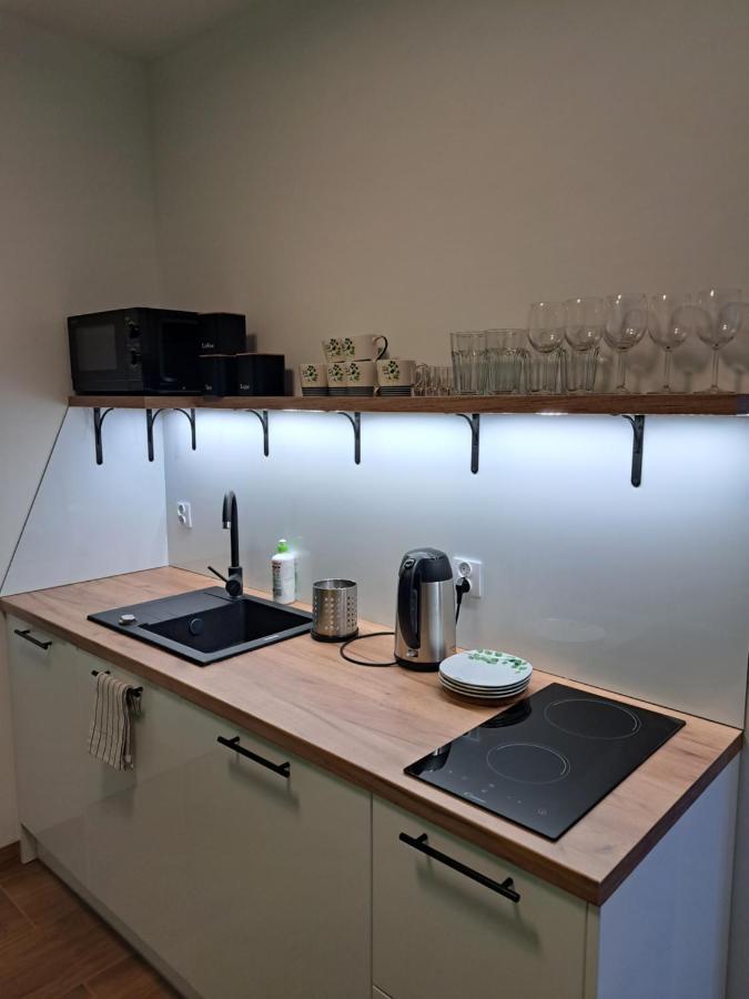 Lisc Apartment Ciechocinek